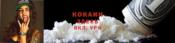 PSILOCYBIN Козельск