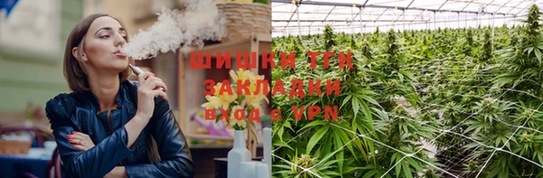 PSILOCYBIN Козловка