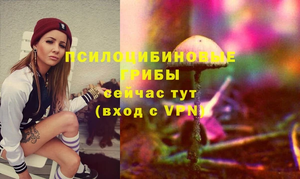 PSILOCYBIN Козловка